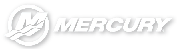 Mercury for sale in Oakland, FL